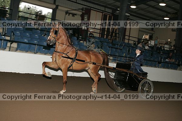 Proof Number r14-04_0199